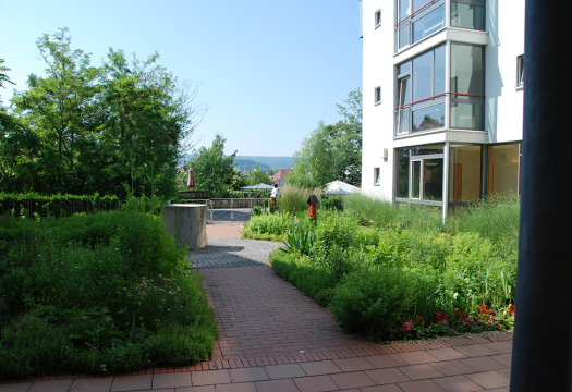 Blick von der Terrasse  