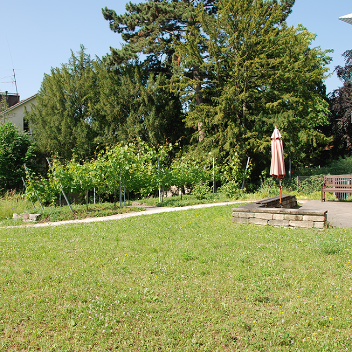 Der Garten